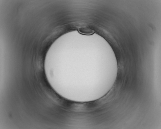 X0000113360170200910131307