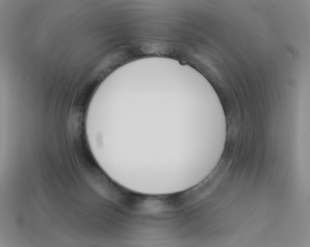 X0000113360171200910131307