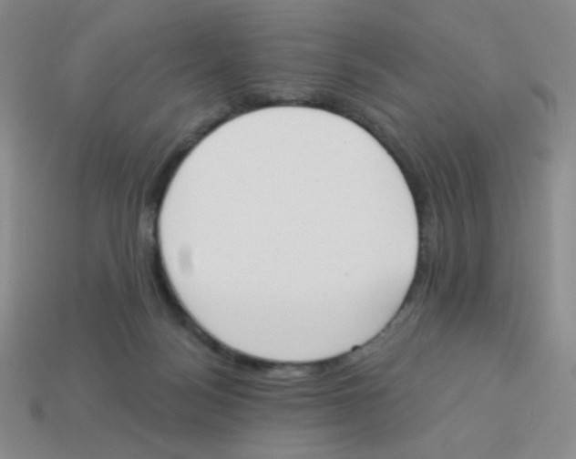 X0000113360172200910131307