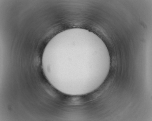 X0000113360173200910131308