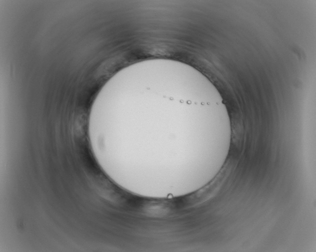 X0000113360175200910131308