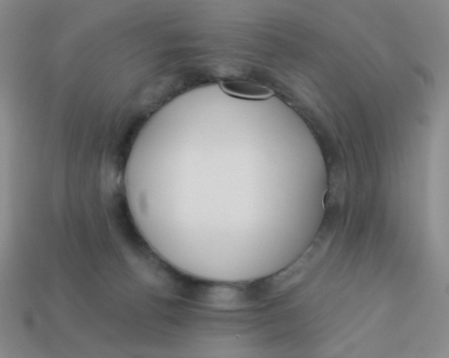 X0000113360176200910131308