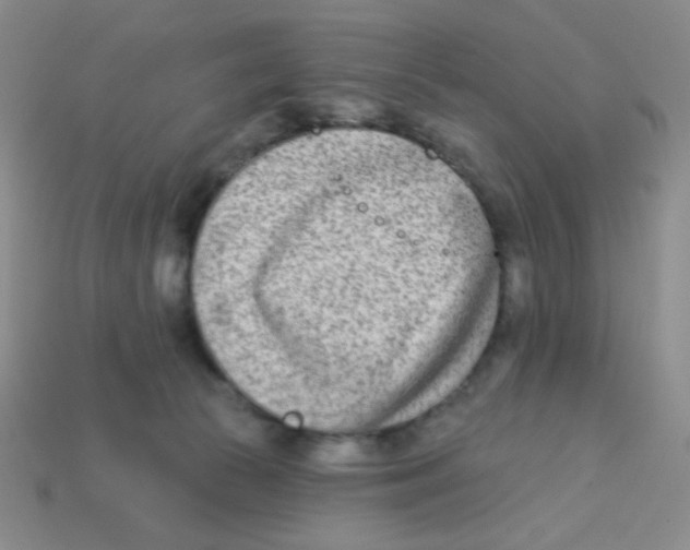 X0000113360177200910131308