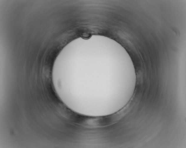 X0000113360178200910131308