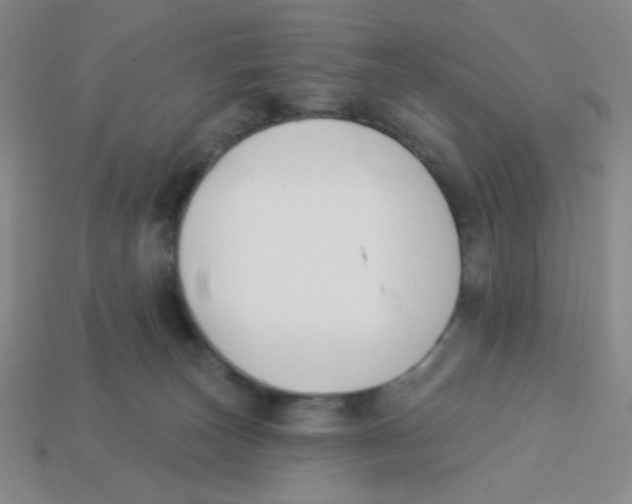 X0000113360179200910131308
