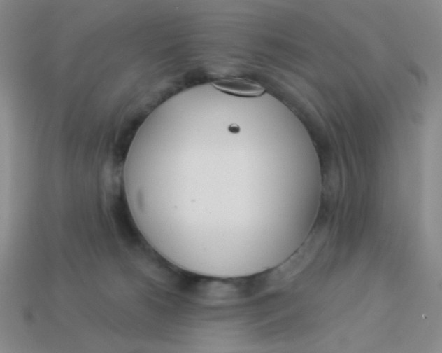 X0000113360180200910131308