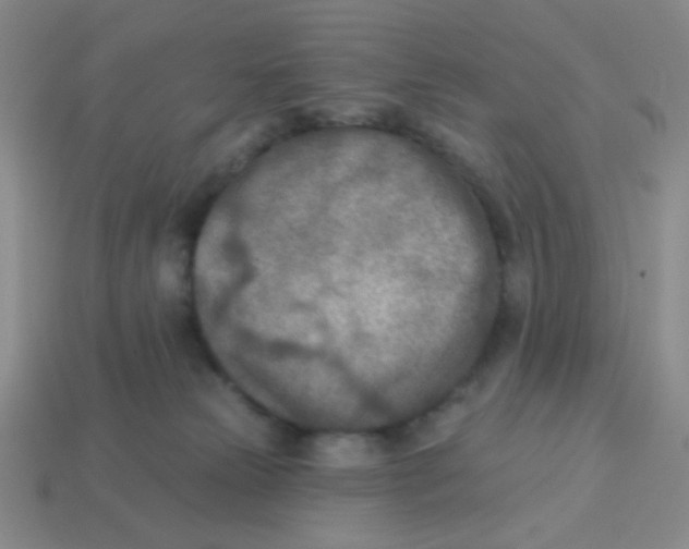 X0000113360181200910131308