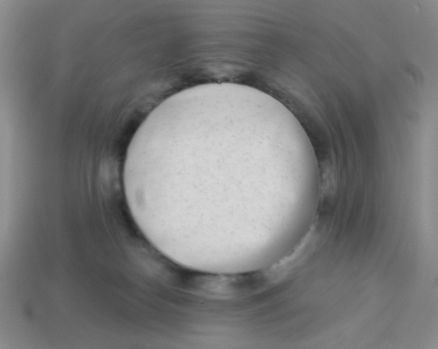 X0000113360182200910131308