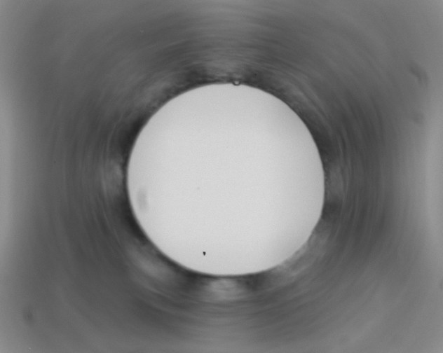 X0000113360183200910131308
