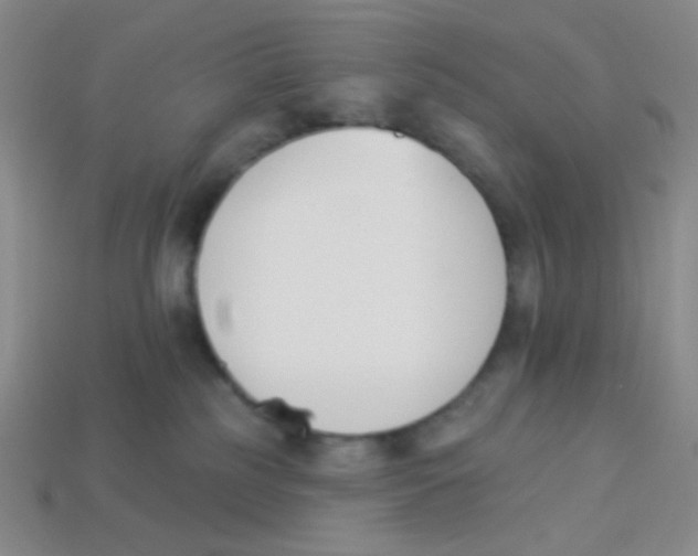 X0000113360185200910131308