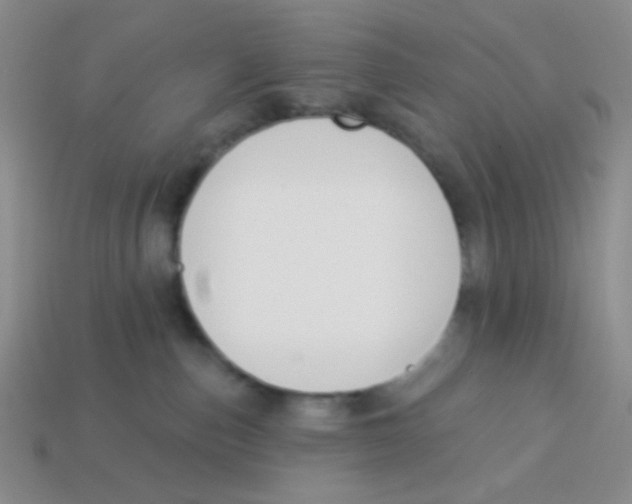 X0000113360187200910131308