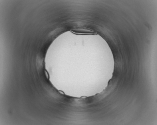 X0000113360188200910131308