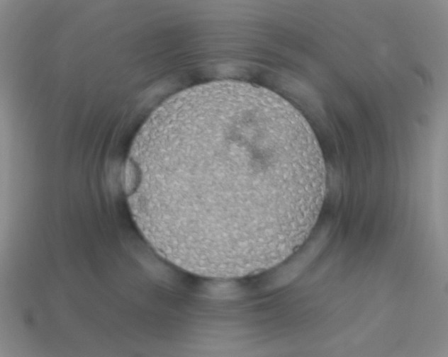 X0000113360189200910131308
