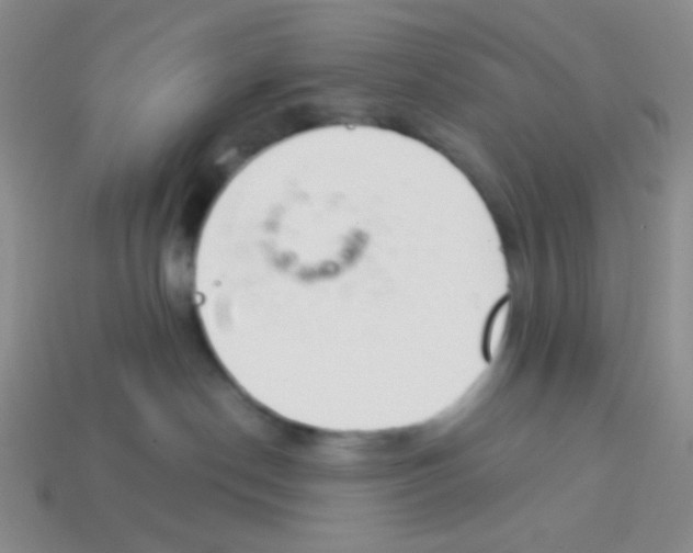 X0000113360190200910131308