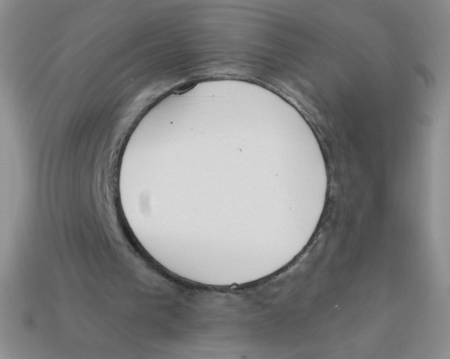 X0000113360193200910131307