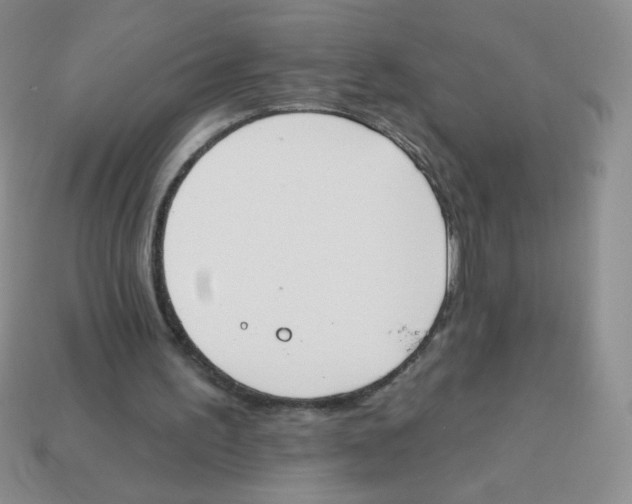 X0000113360195200910131307