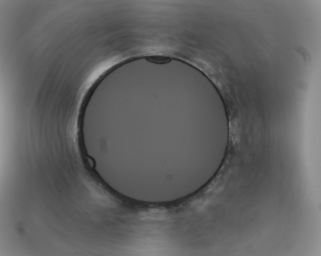 X0000113360196200910131307