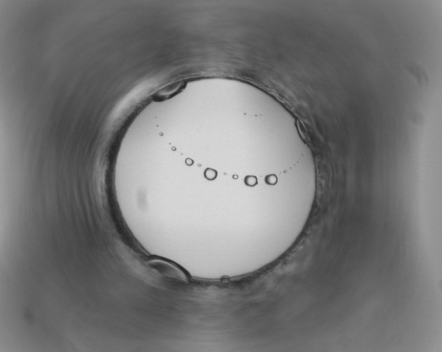 X0000113360197200910131307