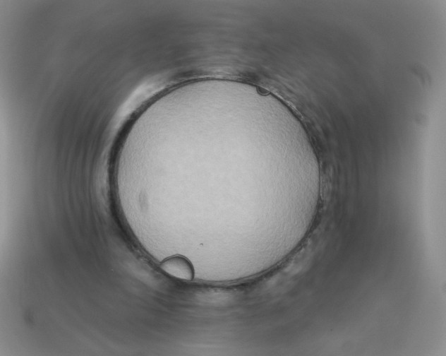X0000113360198200910131307
