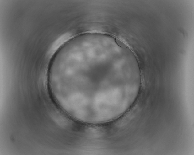 X0000113360199200910131307