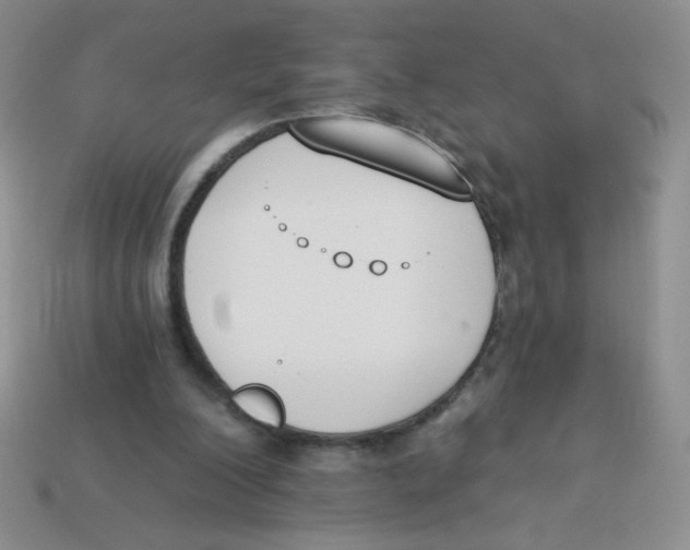 X0000113360200200910131307