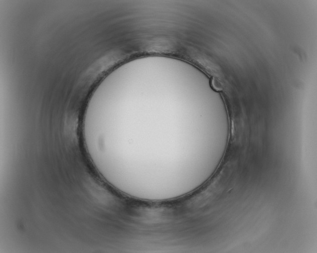 X0000113360201200910131307