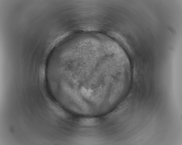X0000113360202200910131307
