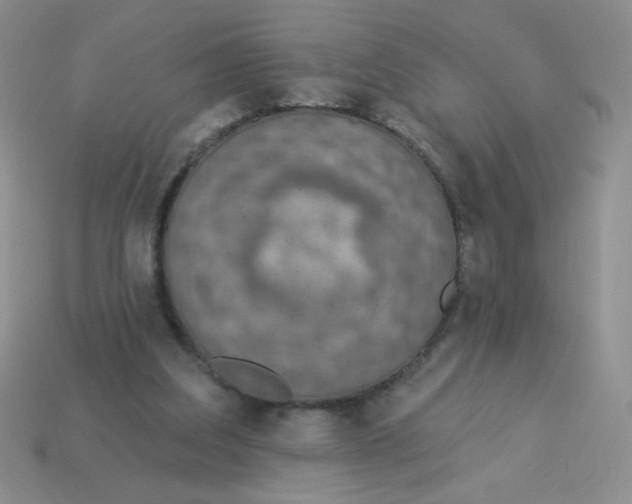 X0000113360203200910131307