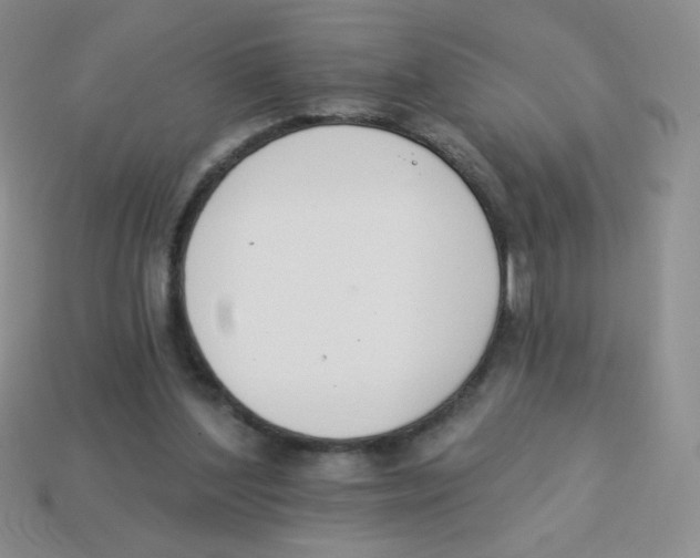 X0000113360204200910131307