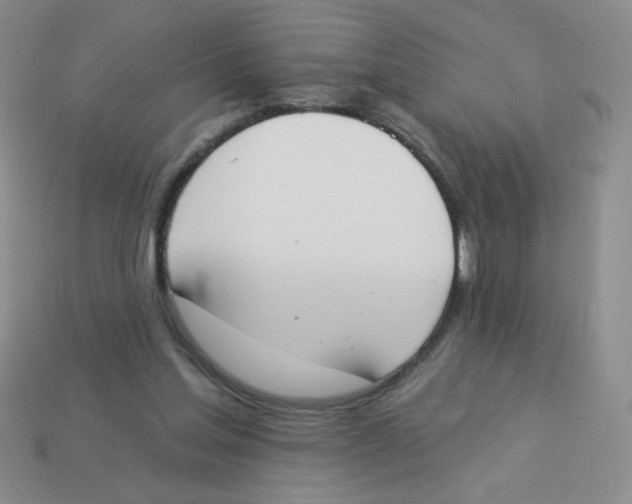 X0000113360205200910131307