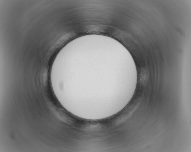 X0000113360206200910131307