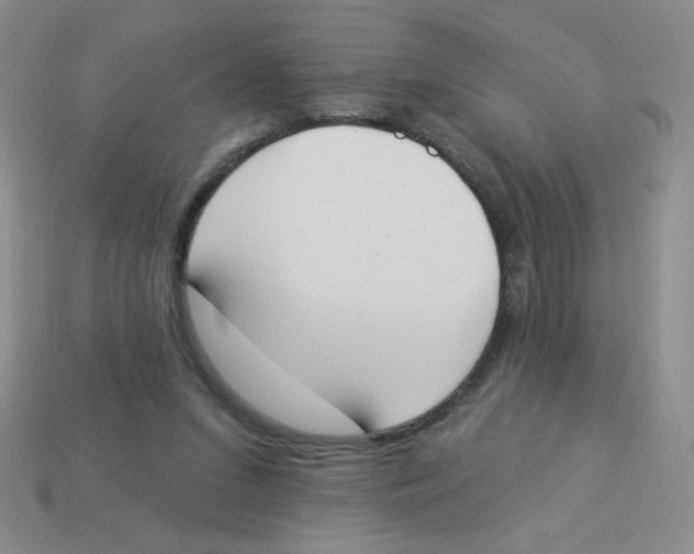 X0000113360207200910131307