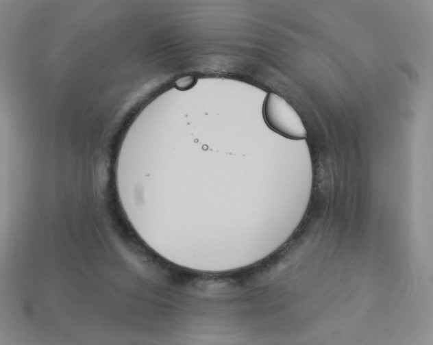 X0000113360208200910131307