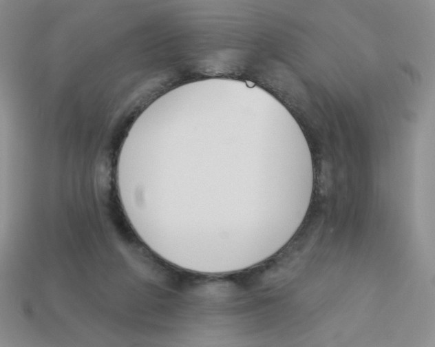 X0000113360210200910131307