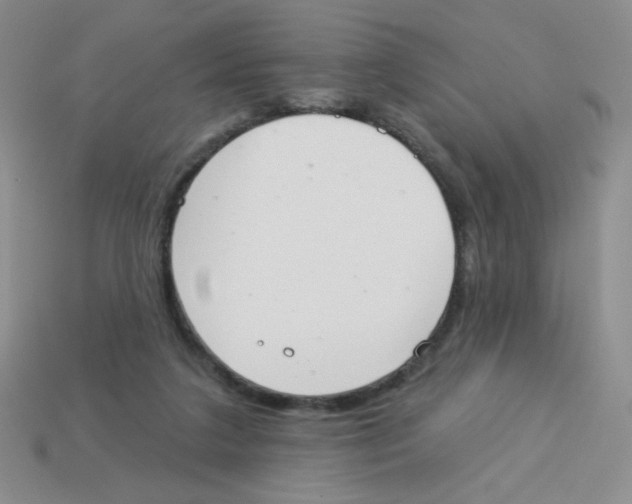 X0000113360211200910131307