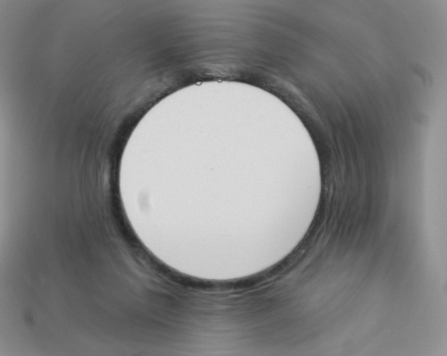 X0000113360213200910131307