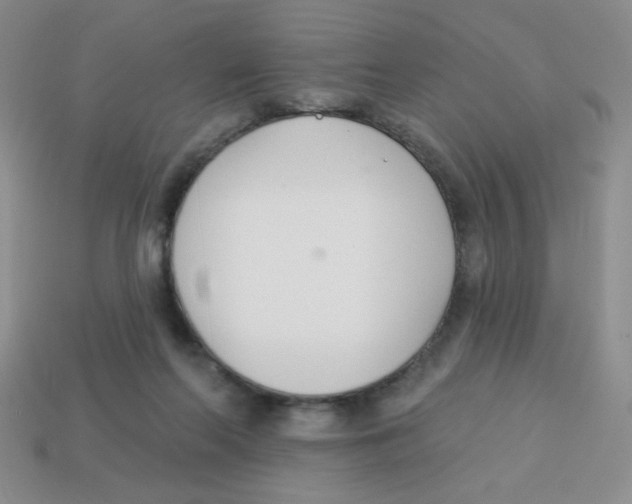 X0000113360214200910131307