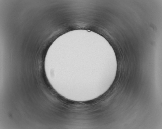 X0000113360215200910131307