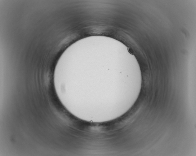 X0000113360216200910131307