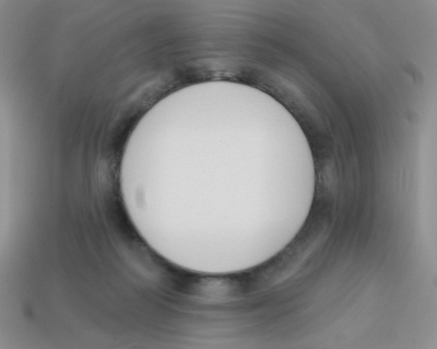 X0000113360218200910131307