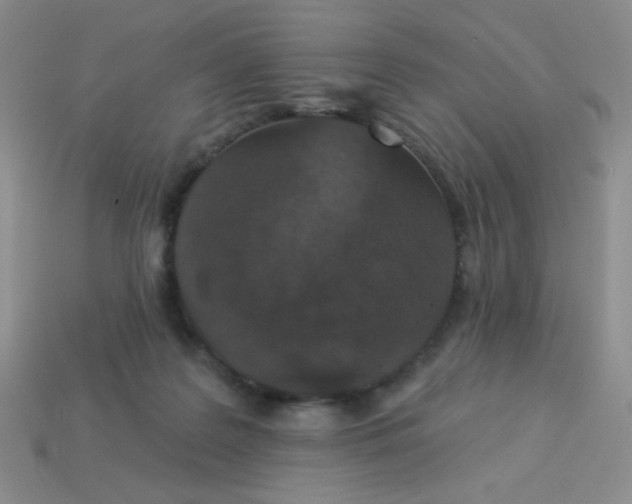X0000113360219200910131307