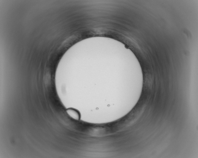 X0000113360220200910131307