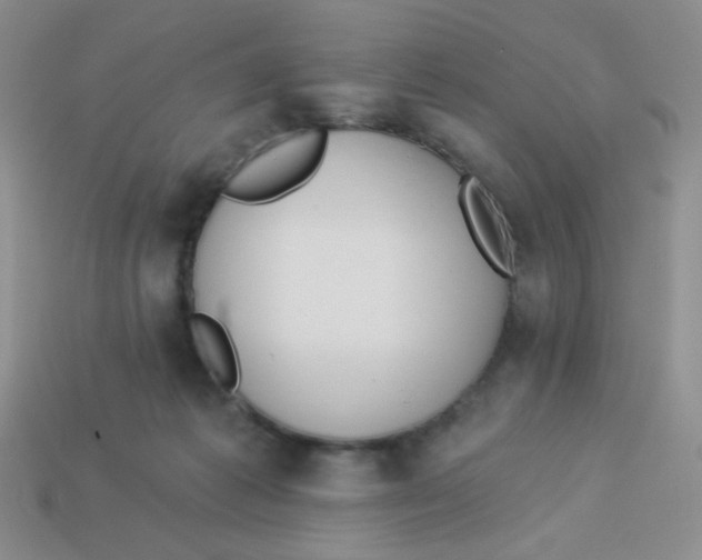 X0000113360221200910131307