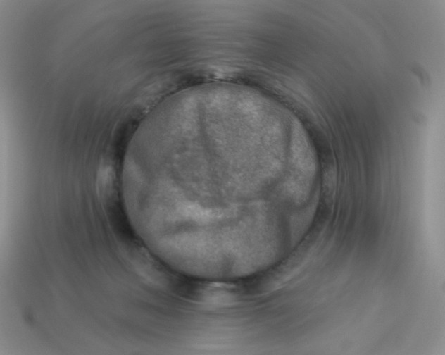X0000113360222200910131307