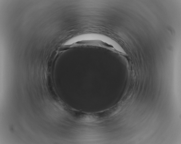 X0000113360223200910131307
