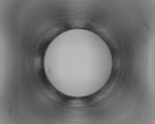 X0000113360224200910131307