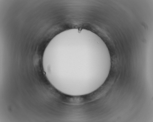 X0000113360225200910131307