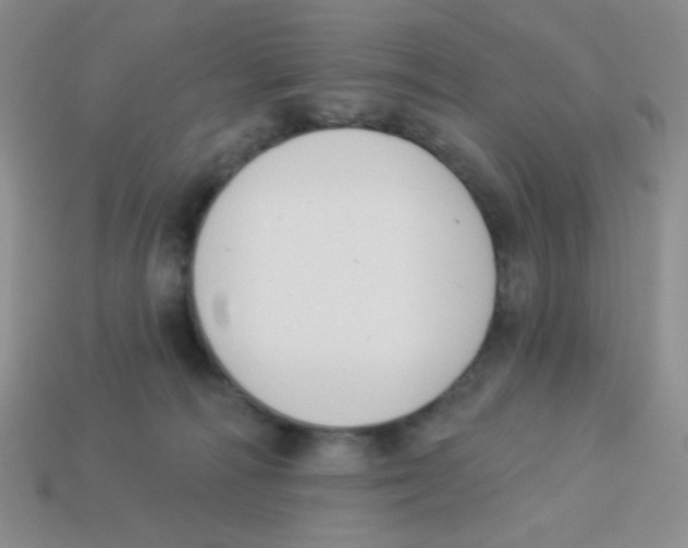 X0000113360226200910131307