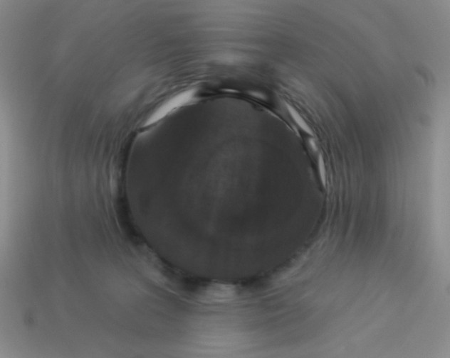 X0000113360227200910131307