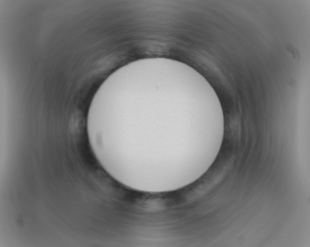 X0000113360228200910131307